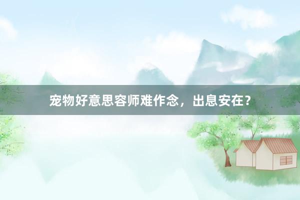 宠物好意思容师难作念，出息安在？