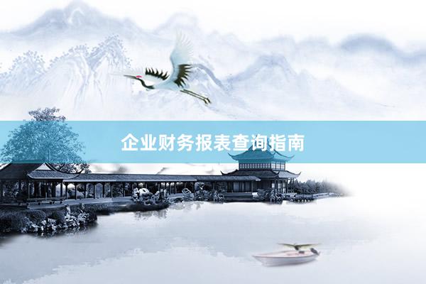 企业财务报表查询指南