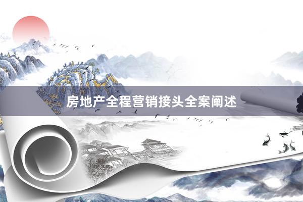 房地产全程营销接头全案阐述